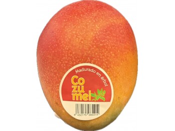 太阳之子芒果 (1个约1.3-1.5磅)