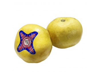 小沙田柚 (1个) 小沙田柚 (1个)