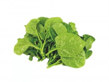 潺菜(木耳菜) (1磅) 潺菜(木耳菜) (1磅)