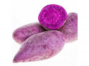 紫皮紫番薯  （1磅）