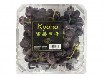KYOHO 黑藤巨峰葡萄 3.00 POUNDS