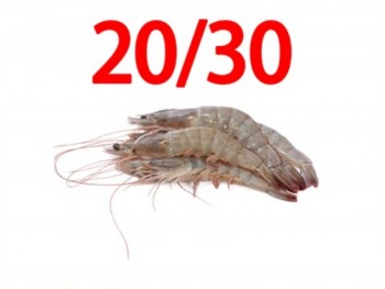 20/30 南美有头虾 4.00 POUNDS