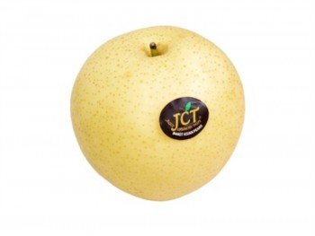 JCT黄金梨 (1个)
