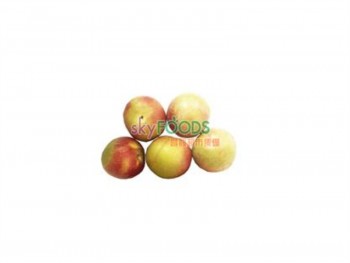 金蛇旦 (1磅) 金蛇旦 (1磅)