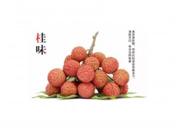 桂味荔枝  (1磅)  