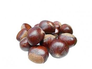 新鲜板栗 (1磅) 新鲜板栗 (1磅)