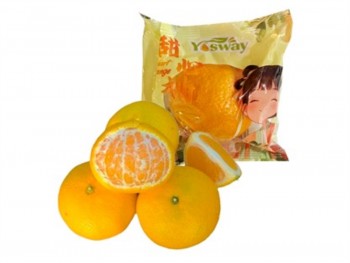 甜心柚 (1磅) 甜心柚 (1磅)