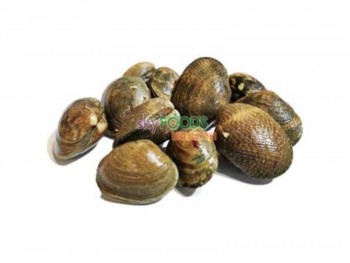 BABY CLAM (1POUND) 