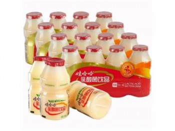 娃哈哈 乳酸菌饮品-5排 2000.00 MILLILITER