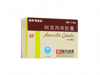 阿莫仙 阿莫西林胶囊 36.00 PILLS