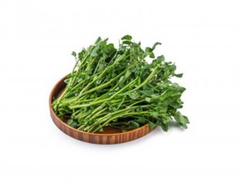 火锅 西洋菜 - 1份