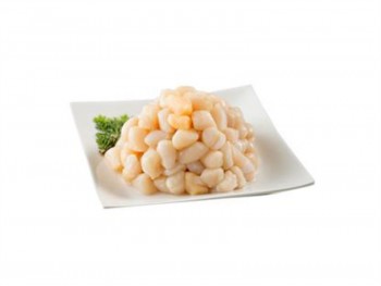 火锅 小干贝-1份