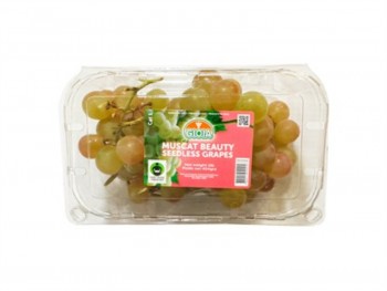 GIOIA 桂花提 454.00 GRAM