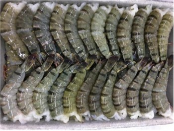 8/12 老虎虾 4.00 POUNDS